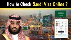 How to check Saudi visa online