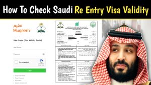 How To Check Saudi Re entry Visa Validity